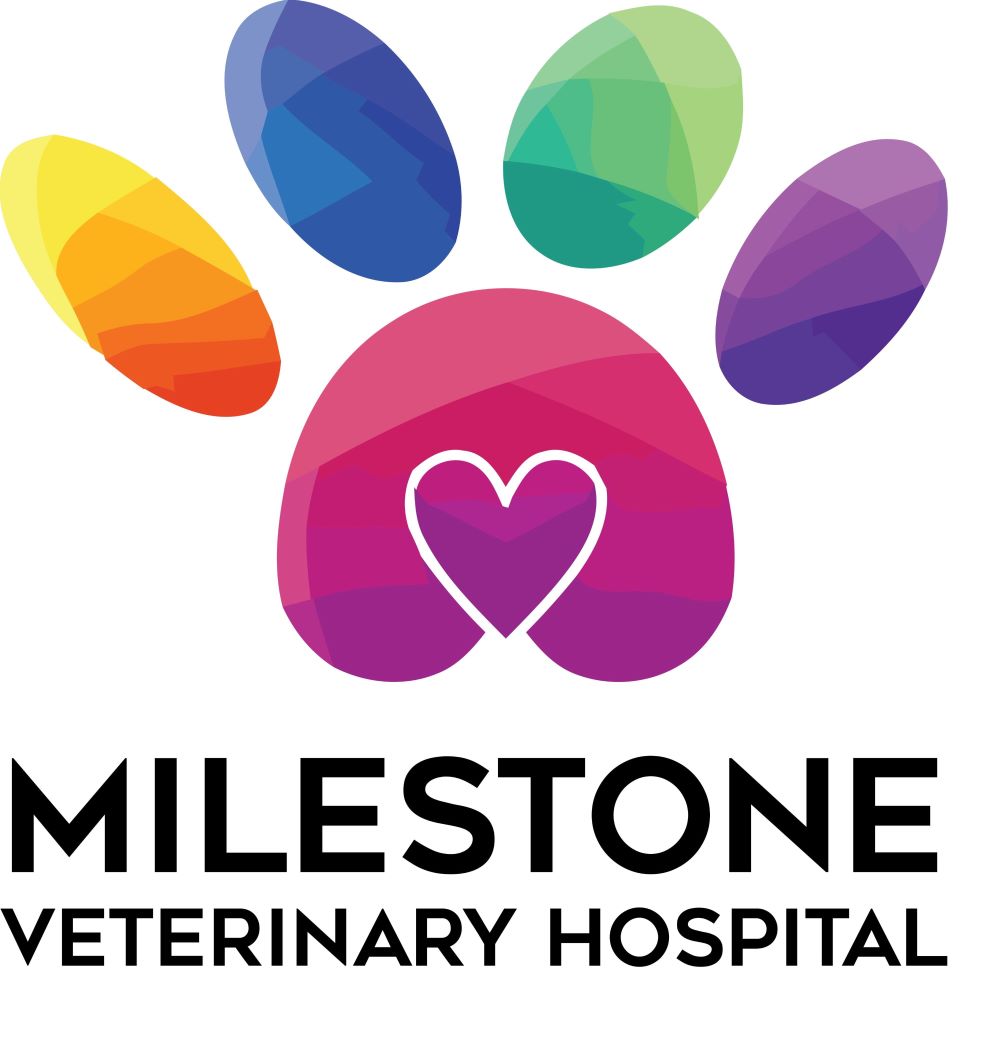Animal Hospital Greer, SC | Milestone Veterinary Hospital